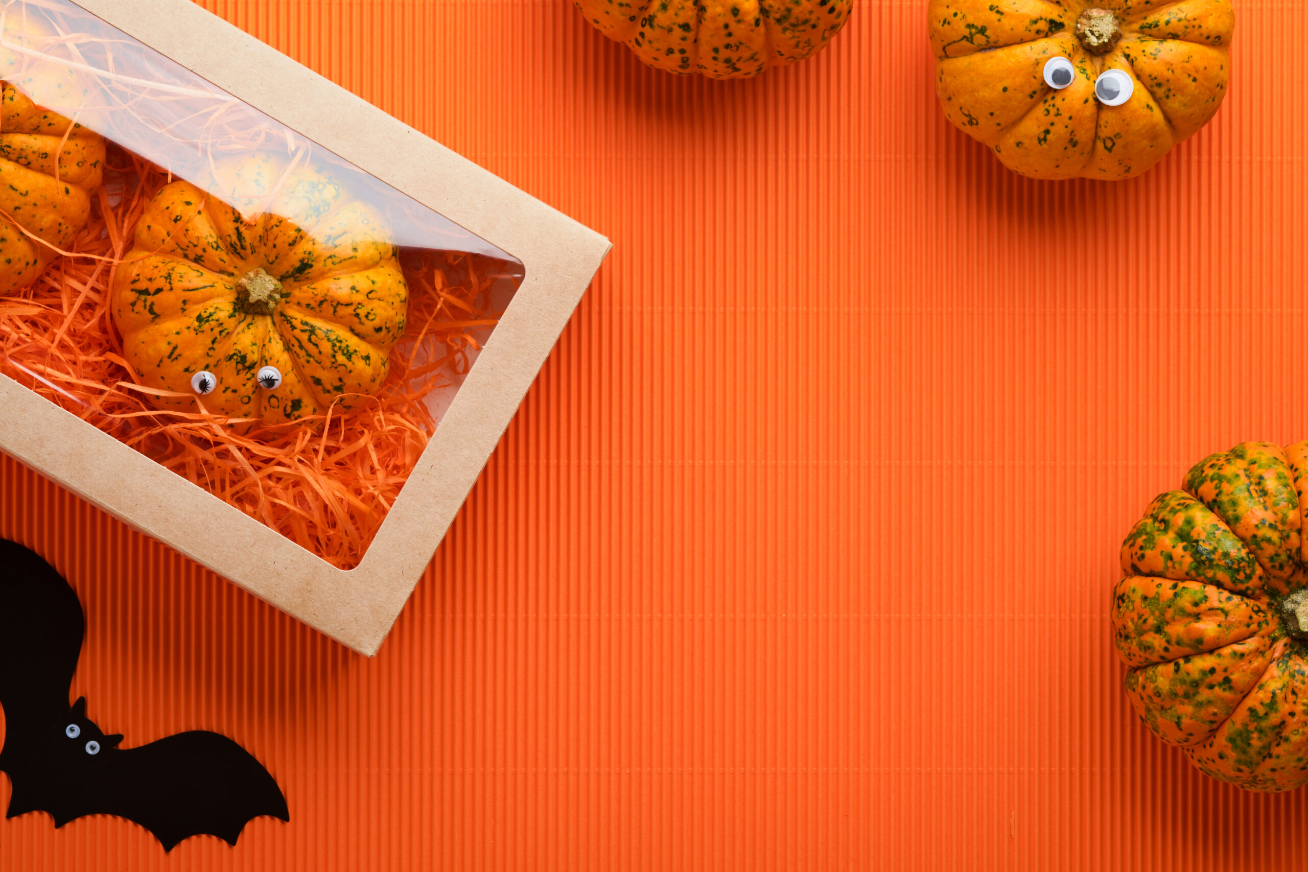 decorative pumpkins in box with bat on orange 2026 01 09 07 40 59 utc