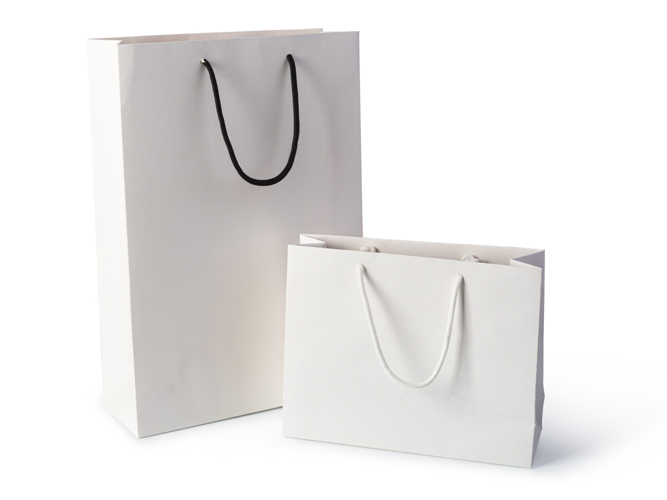 white paper bag 2026 01 07 07 12 58 utc