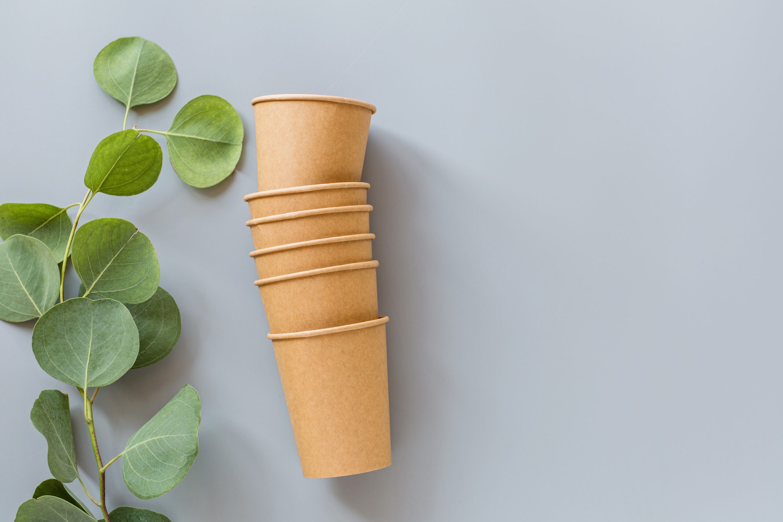 flat lay of eco friendly reusable products on gray 2026 03 11 02 12 50 utc