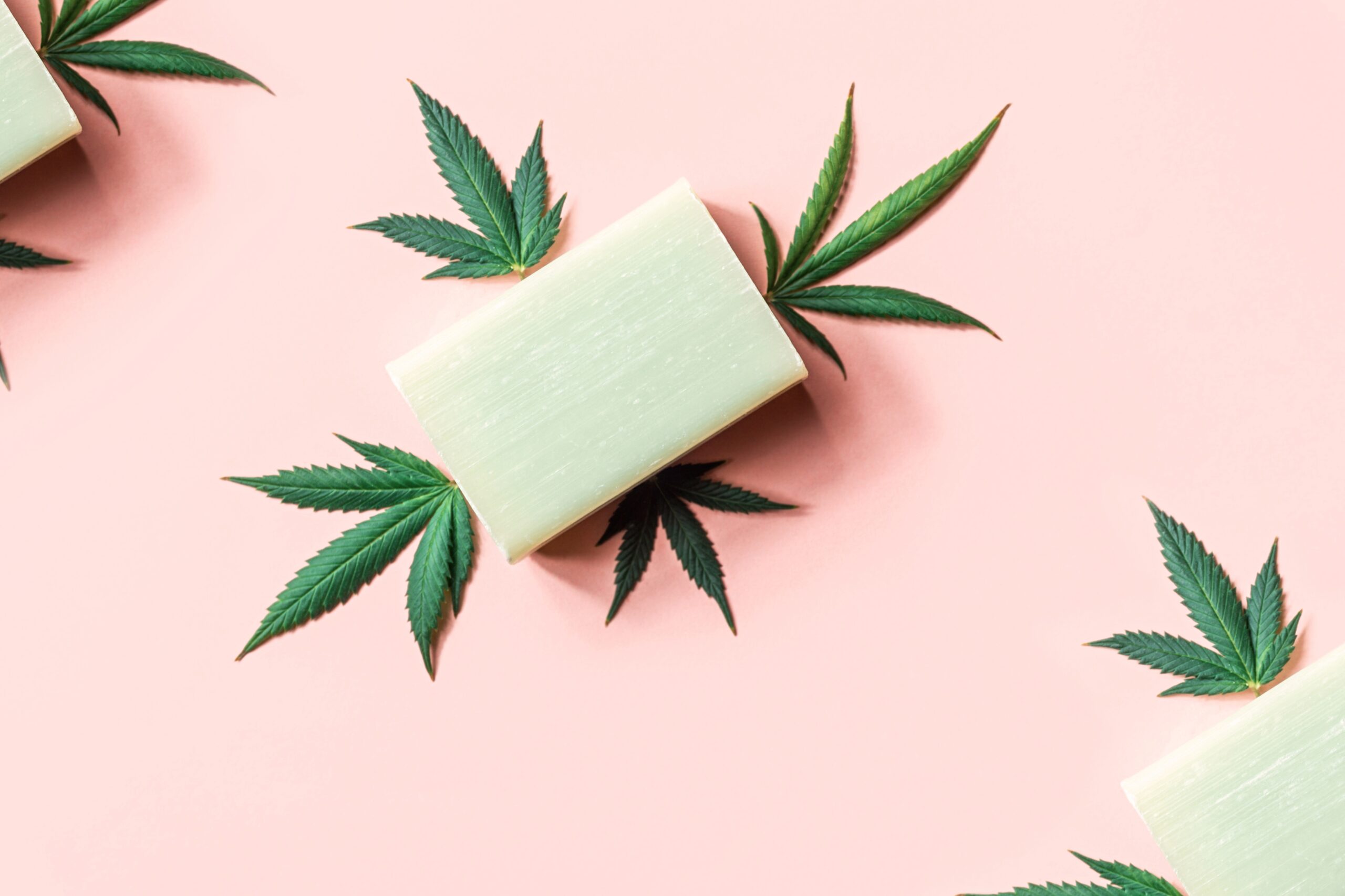 cbd cannabidiol infused soap cannabis products in 2026 01 06 10 49 21 utc