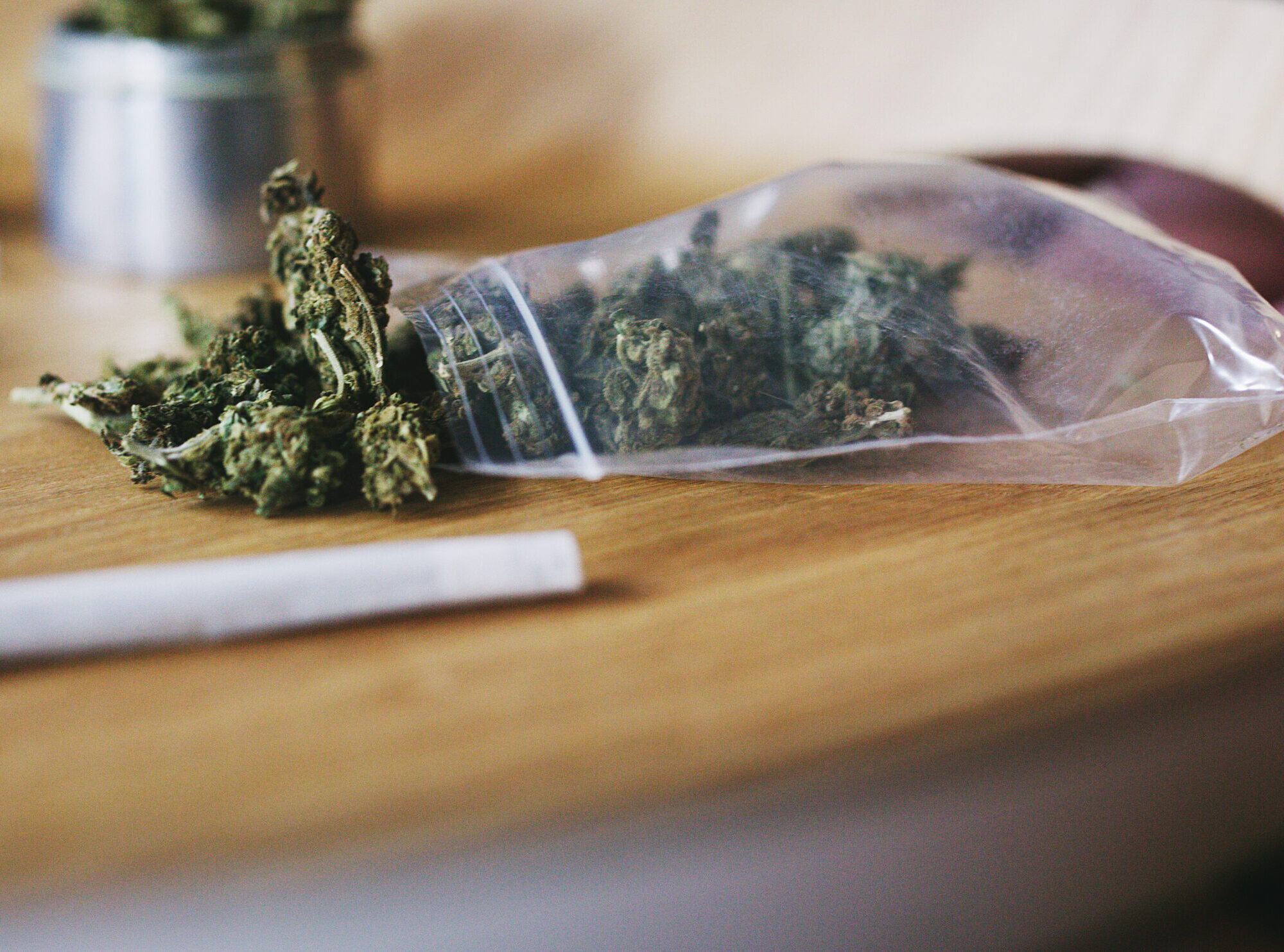 the marijuana mix 2026 01 09 09 39 47 utc