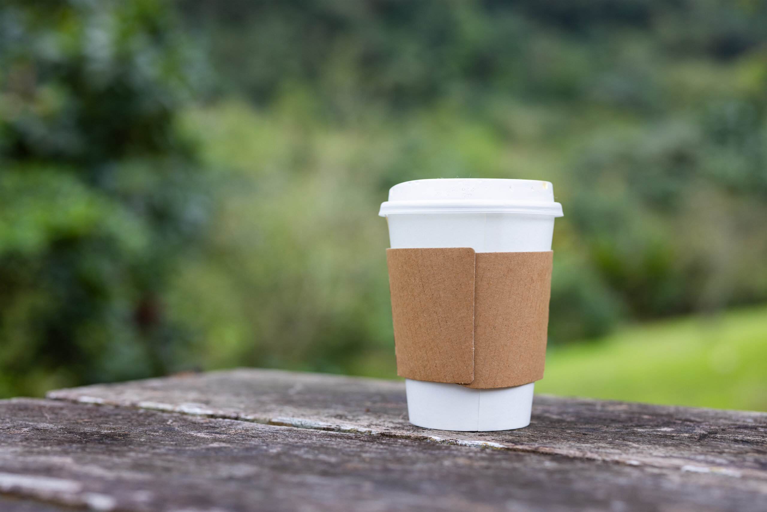 a paper cup of coffee with green park background 2026 01 09 07 34 55 utc