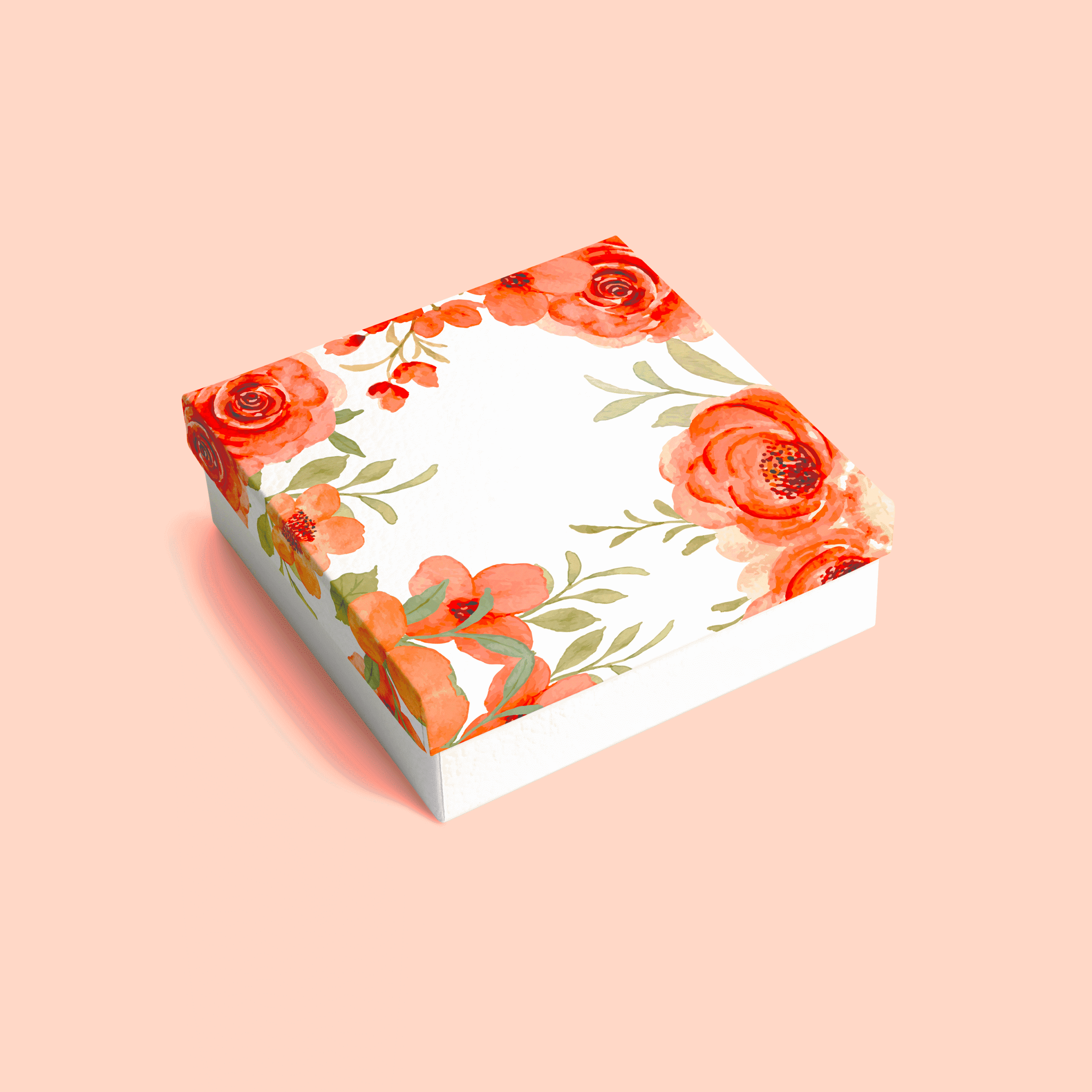 apparel boxes