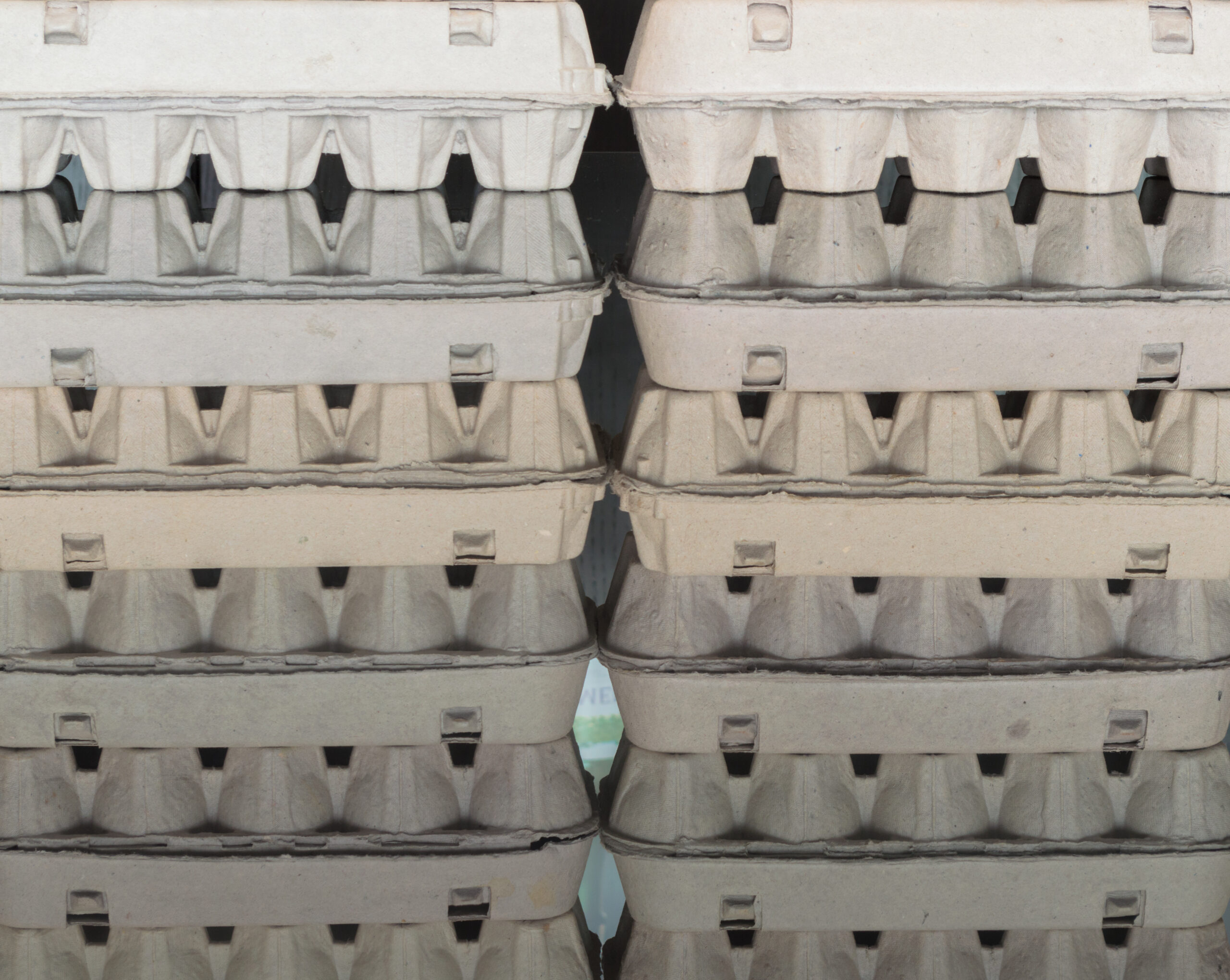 carton egg boxes on a black reflective surface 2026 01 11 09 29 04 utc