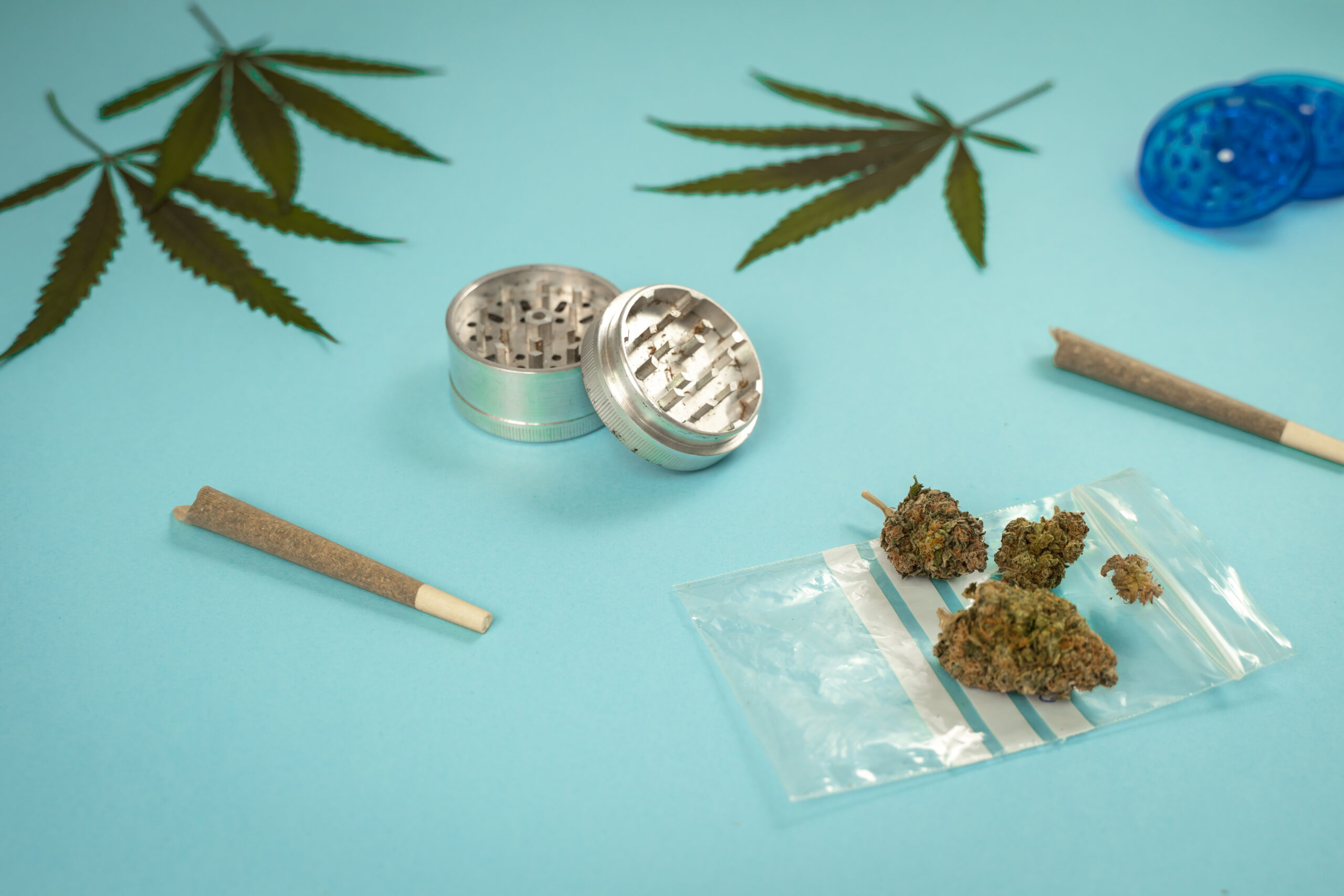 cbd medical marijuana and hemp leaves medical can 2026 01 07 01 58 09 utc