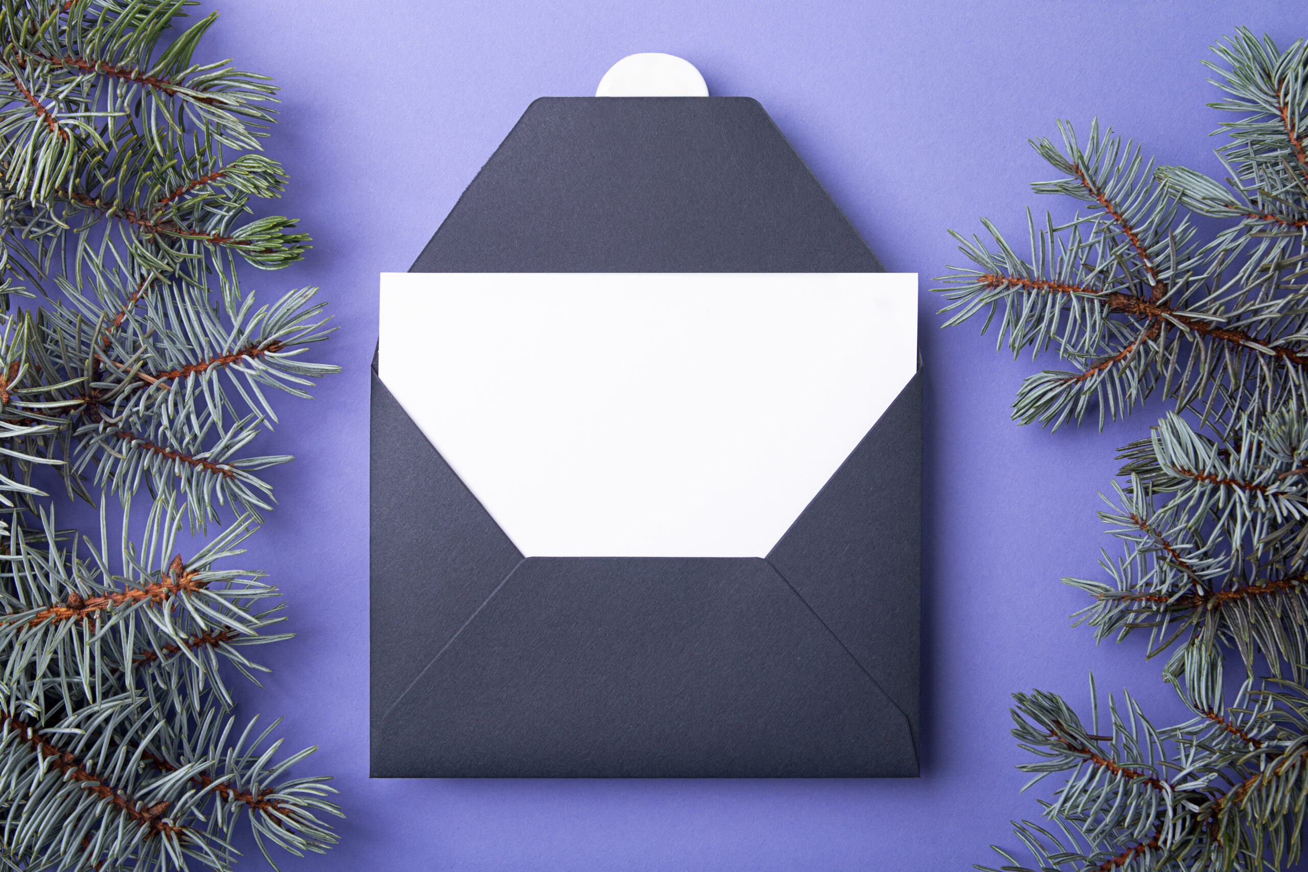 dark envelope with white card and evergreen sprigs 2026 03 17 08 59 08 utc