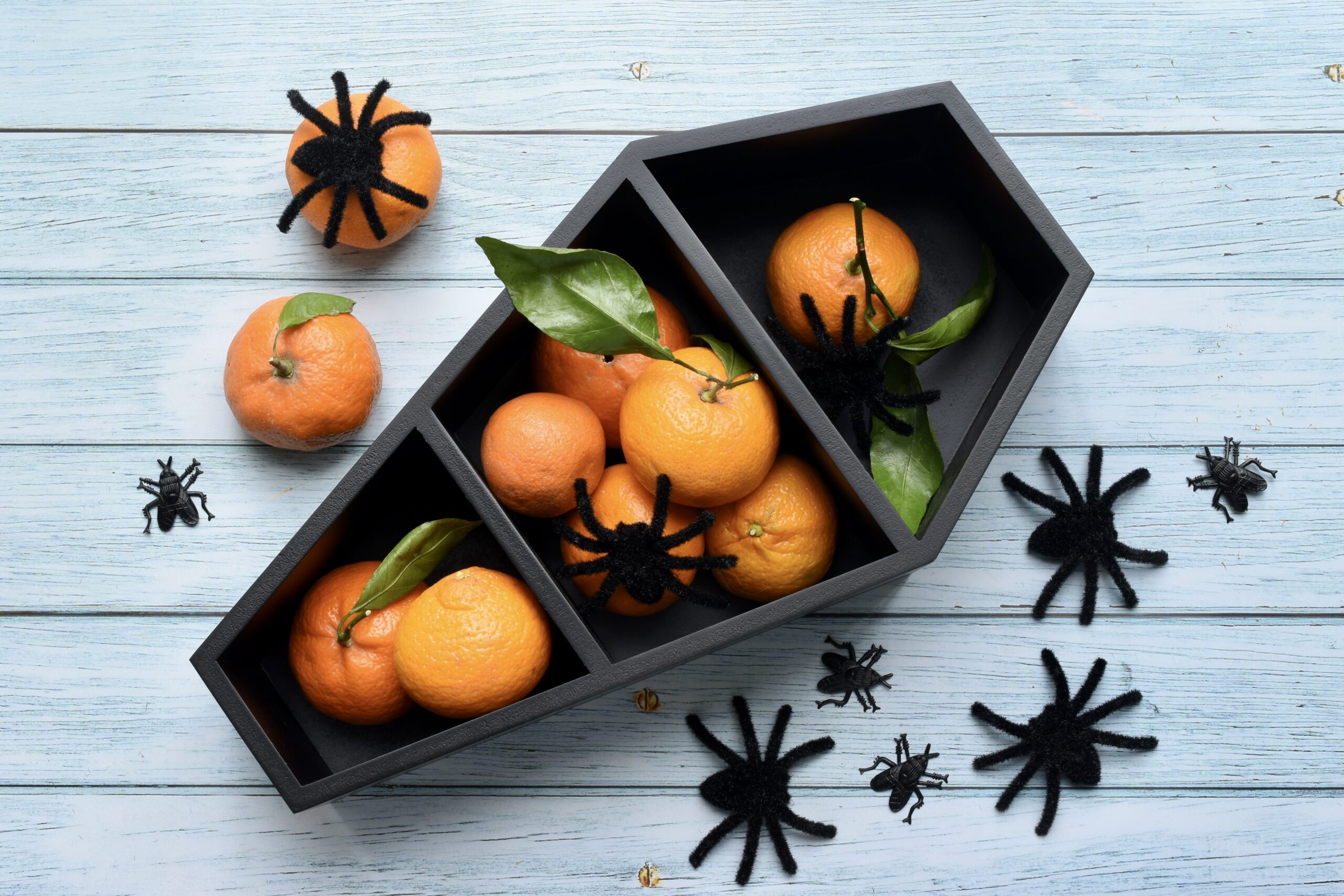 halloween coffin box of oranges and spiders 2026 01 06 09 05 12 utc