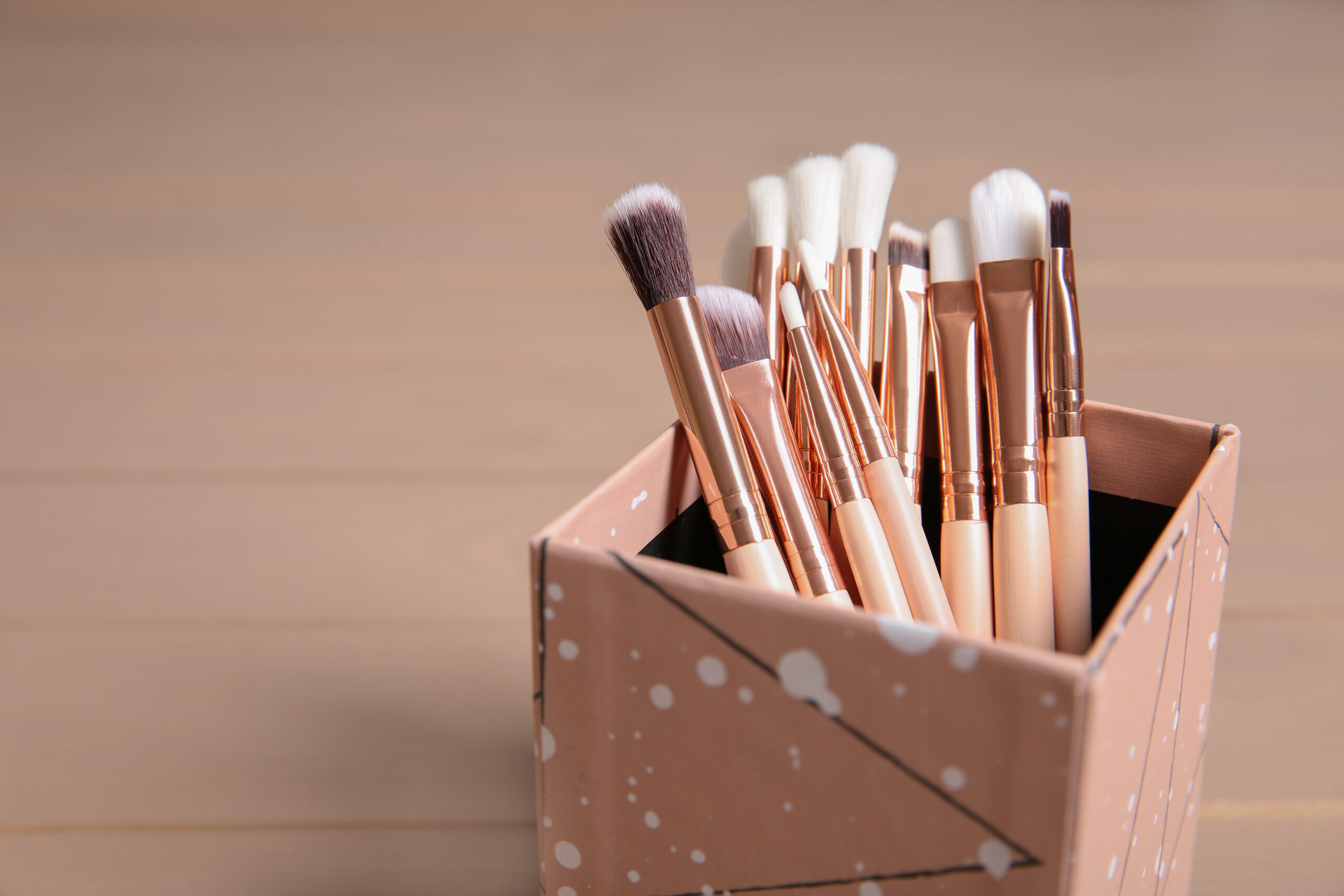 organizer with professional makeup brushes on wood 2026 03 18 16 20 45 utc