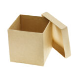 cardboard box on white background 2026 01 11 10 29 25 utc