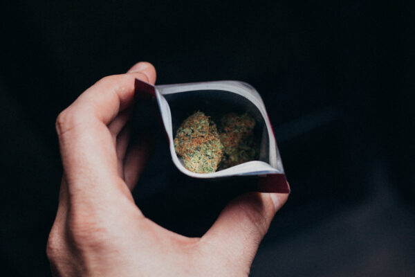 closeup shot of a hand holding a bag of marijuana 2026 01 07 07 20 45 utc