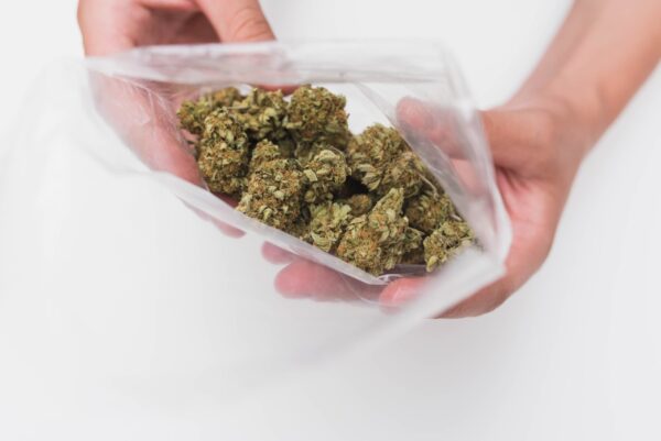 looking into a full bag of frosty weed nugs marij 2026 01 05 05 29 52 utc