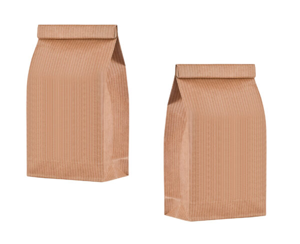 recycle brown paper bags isolated on white 2026 01 06 11 08 49 utc