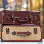 suitcases on a fall forest background autumn trave 2026 01 11 10 28 48 utc