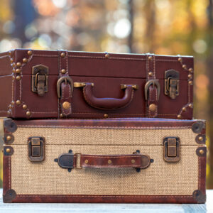 suitcases on a fall forest background autumn trave 2026 01 11 10 28 48 utc