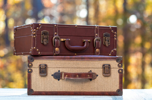suitcases on a fall forest background autumn trave 2026 01 11 10 28 48 utc