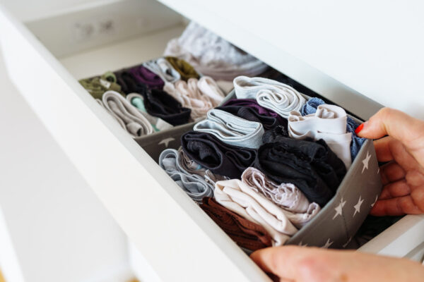 underwear organizer chest of drawers 2026 01 09 01 00 05 utc