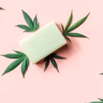 cbd cannabidiol infused soap cannabis products in 2026 01 06 10 49 21 utc