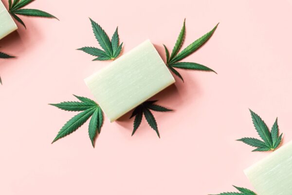 cbd cannabidiol infused soap cannabis products in 2026 01 06 10 49 21 utc