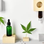 different glass bottles with cbd oil and cannabis 2026 03 09 01 53 01 utc