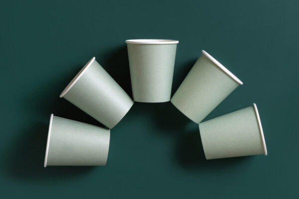 disposable light green paper cups on a dark green 2026 03 24 05 59 40 utc