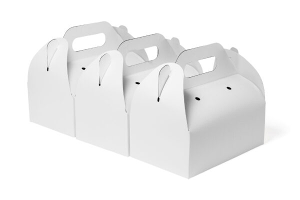 takeaway cake boxes 2026 01 06 09 24 11 utc