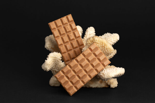two large chocolate bars on a coral on black backg 2026 01 07 05 58 29 utc