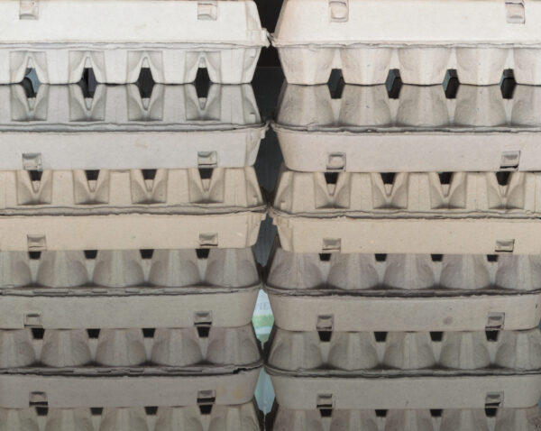 carton egg boxes on a black reflective surface 2026 01 11 09 29 04 utc