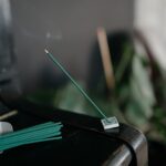 green aroma stick 2026 01 06 10 08 08 utc