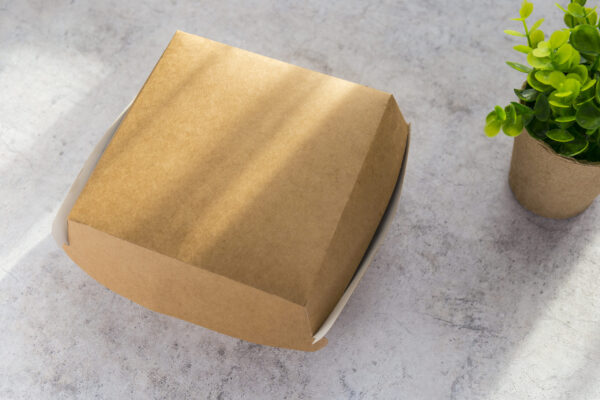 hamburger craft box and plants 2026 03 16 02 44 53 utc