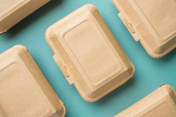 recycle eco friendly disposable food container mad 2026 03 15 23 19 59 utc