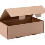 brown cardboard box container open on white backgr 2026 01 08 07 26 10 utc