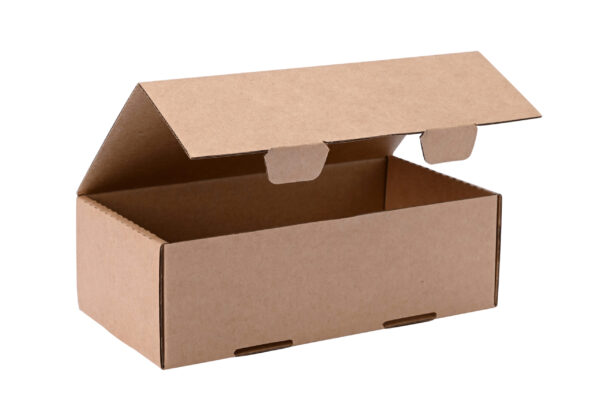 brown cardboard box container open on white backgr 2026 01 08 07 26 10 utc