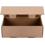 cardboard box in light studio 2026 03 23 23 00 03 utc