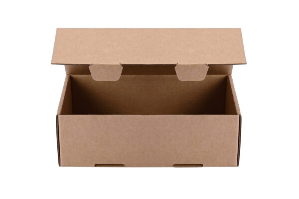cardboard box in light studio 2026 03 23 23 00 03 utc