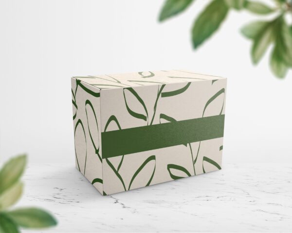 cream box with green leaves on white background 2026 01 07 23 20 01 utc