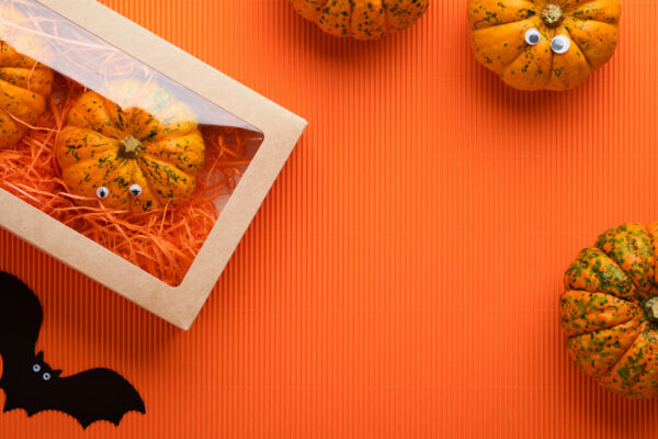 decorative pumpkins in box with bat on orange 2026 01 09 07 40 59 utc