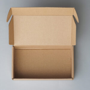 empty cardboard box on a gray background 2026 03 26 08 57 46 utc