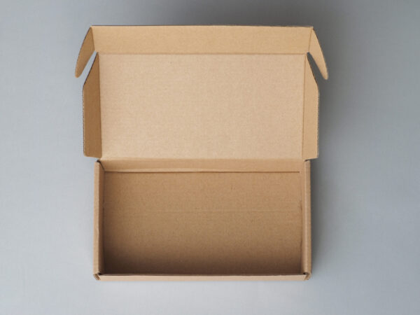 empty cardboard box on a gray background 2026 03 26 08 57 46 utc