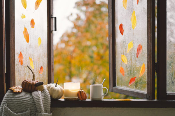 fall window with pumpkins and candle 2026 01 09 01 10 22 utc