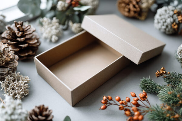 festive box with pine cones and evergreen branches 2026 03 26 23 26 22 utc