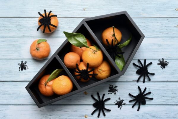 halloween coffin box of oranges and spiders 2026 01 06 09 05 12 utc