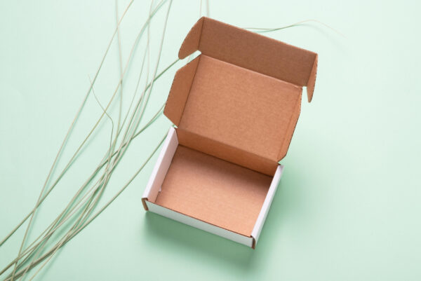 open box with brown interior on pastel background 2026 03 13 05 51 36 utc