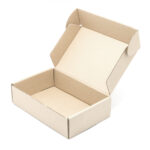open brown cardboard box on a white background 2026 03 09 03 25 57 utc (1)