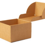 open brown cardboard box on white background 2026 03 19 07 10 01 utc