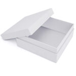 open empty white box on a white background 2026 03 09 03 25 39 utc
