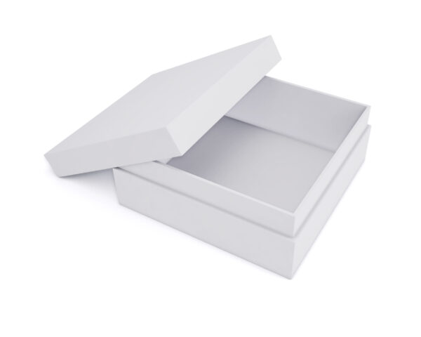 open empty white box on a white background 2026 03 09 03 25 39 utc