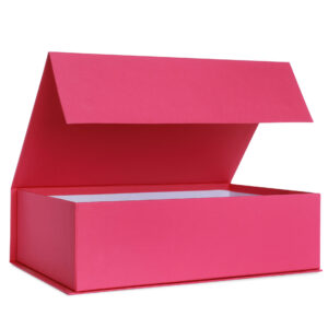 pink box with open lid on white 2026 03 27 00 54 08 utc