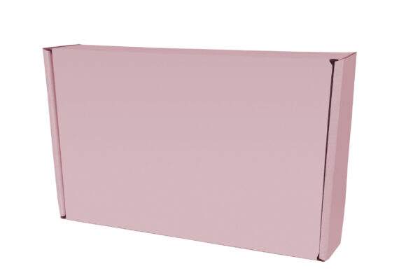 pink rectangular box on white background 2026 03 16 01 24 15 utc