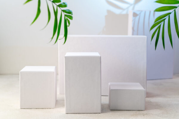 white geometric shapes with green fronds for produ 2026 03 17 17 36 26 utc